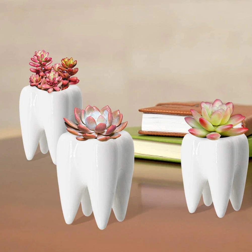 tooth plant pot Tooth Flowerpot